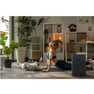 Мойка воздуха Boneco W400 SMART Black